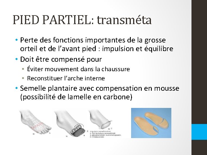 PIED PARTIEL: transméta • Perte des fonctions importantes de la grosse orteil et de PIED PARTIEL: transméta • Perte des fonctions importantes de la grosse orteil et de