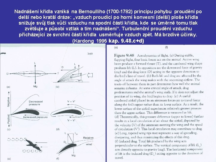 Nadnášení křídla vzniká na Bernoulliho (1700 -1782) principu pohybu proudění po delší nebo kratší