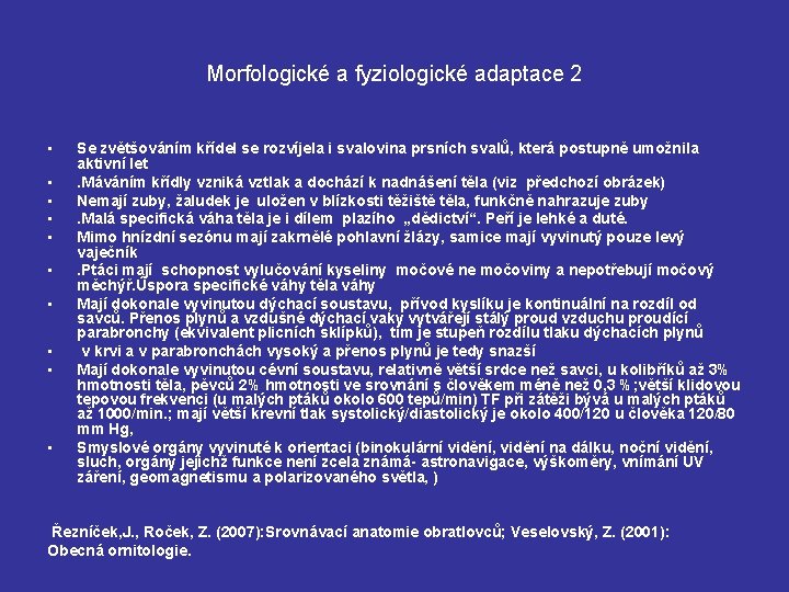 Morfologické a fyziologické adaptace 2 • • • Se zvětšováním křídel se rozvíjela i