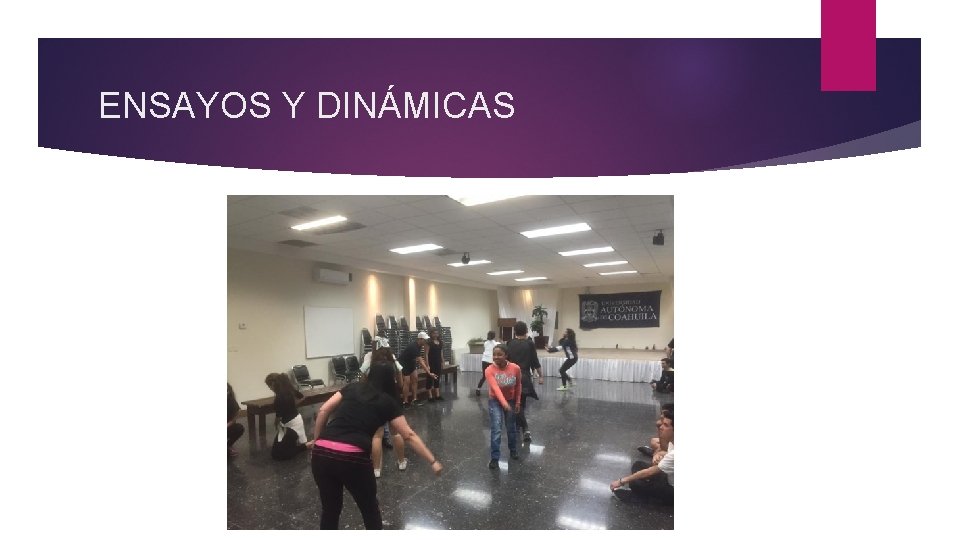 ENSAYOS Y DINÁMICAS 