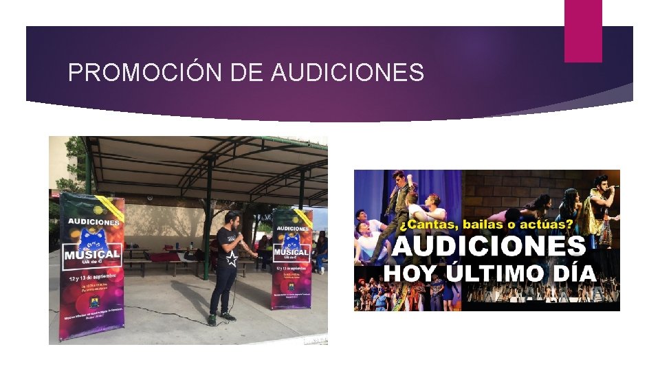 PROMOCIÓN DE AUDICIONES 
