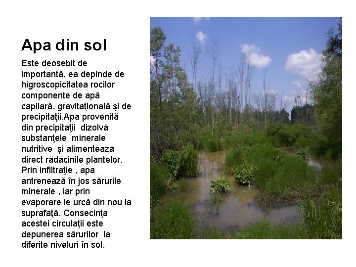 Apa din sol Este deosebit de importantă, ea depinde de higroscopicitatea rocilor componente de Apa din sol Este deosebit de importantă, ea depinde de higroscopicitatea rocilor componente de