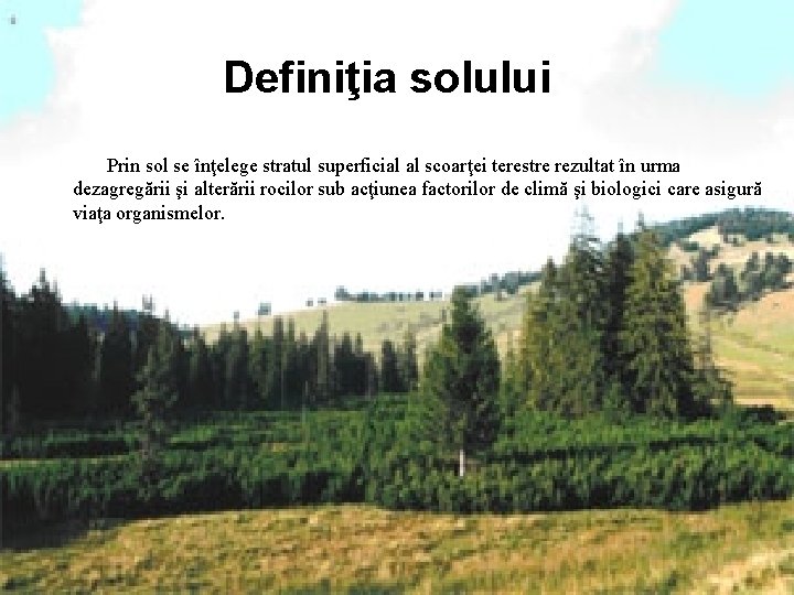 Definiţia solului Prin sol se înţelege stratul superficial al scoarţei terestre rezultat în urma Definiţia solului Prin sol se înţelege stratul superficial al scoarţei terestre rezultat în urma