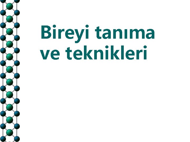 Bireyi tanıma ve teknikleri 