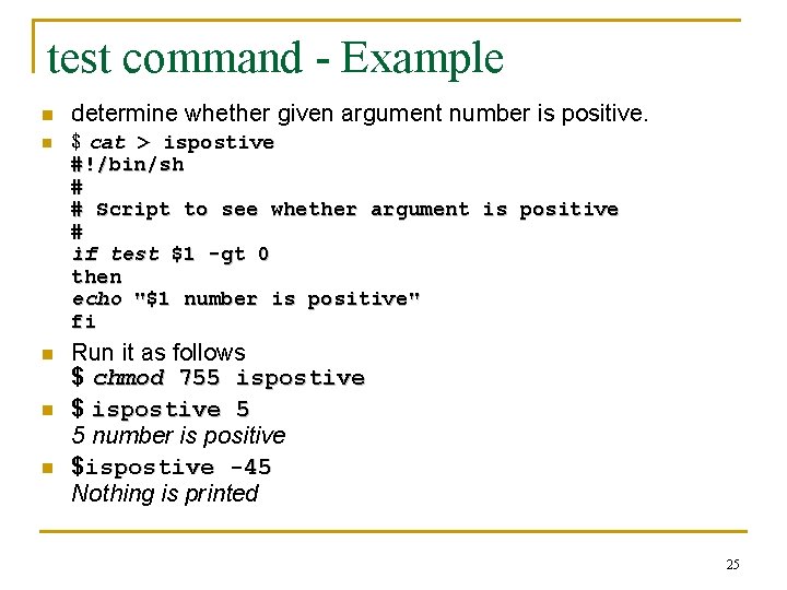 test command - Example n n n determine whether given argument number is positive.
