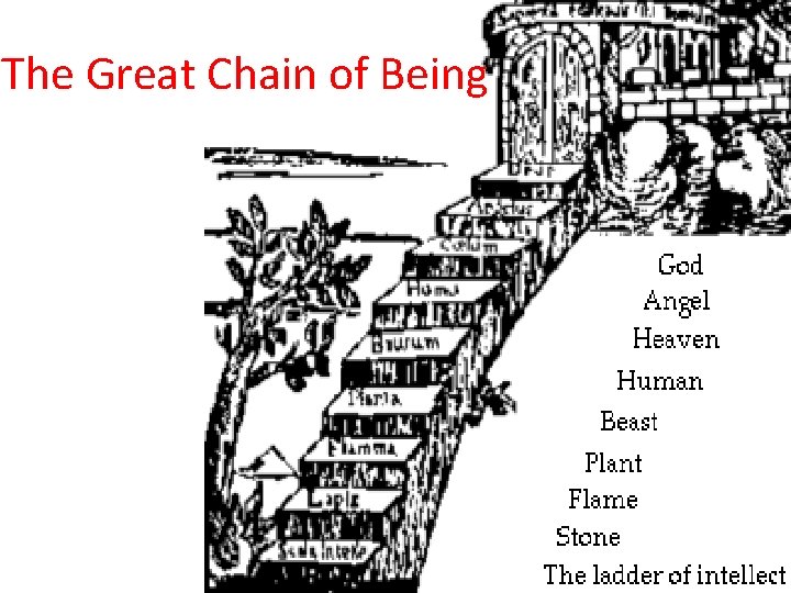The Great Chain of Being 