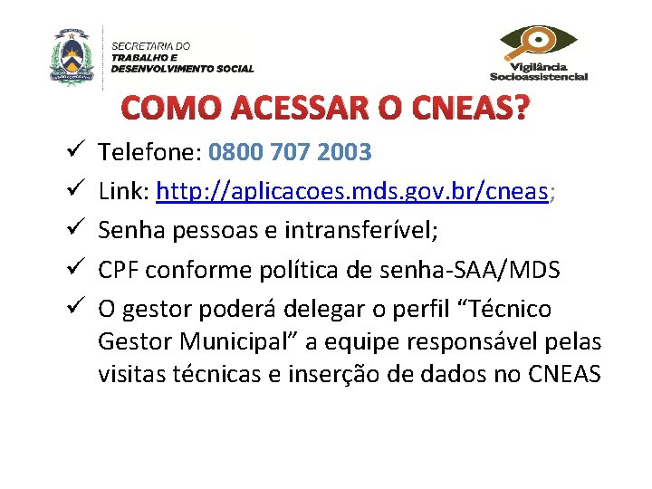 COMO ACESSAR O CNEAS? ü ü ü Telefone: 0800 707 2003 Link: http: //aplicacoes.