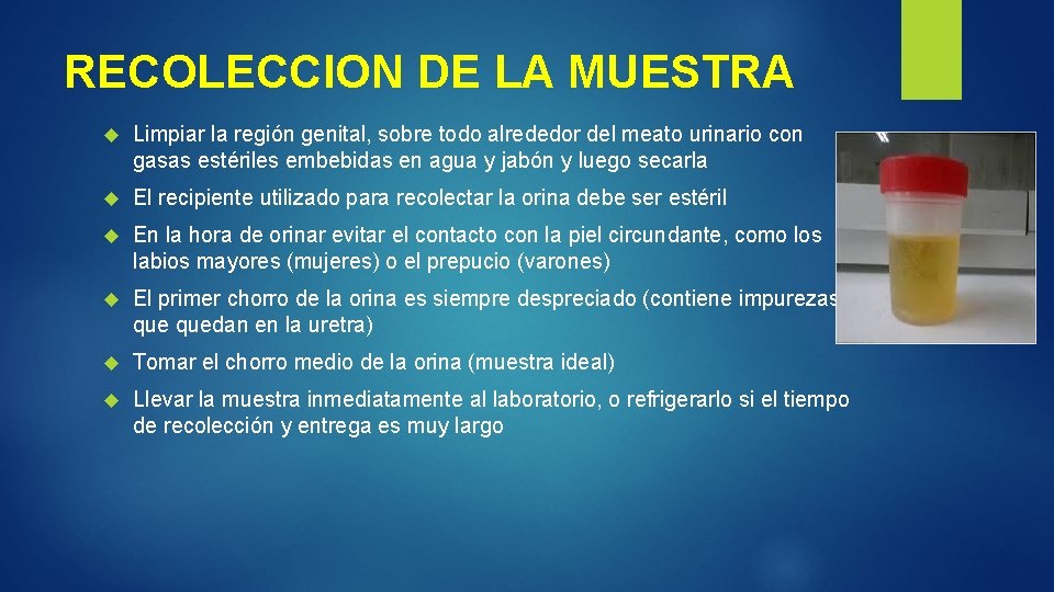 RECOLECCION DE LA MUESTRA Limpiar la región genital, sobre todo alrededor del meato urinario