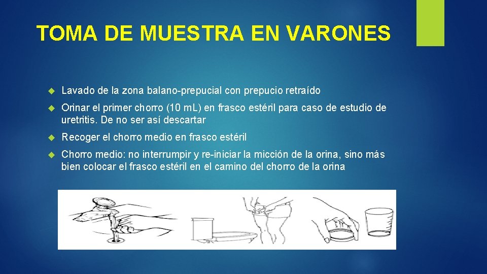 TOMA DE MUESTRA EN VARONES Lavado de la zona balano-prepucial con prepucio retraído Orinar