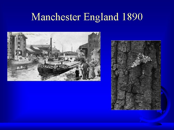 Manchester England 1890 