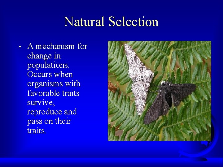 Natural Selection • A mechanism for change in populations. Occurs when organisms with favorable