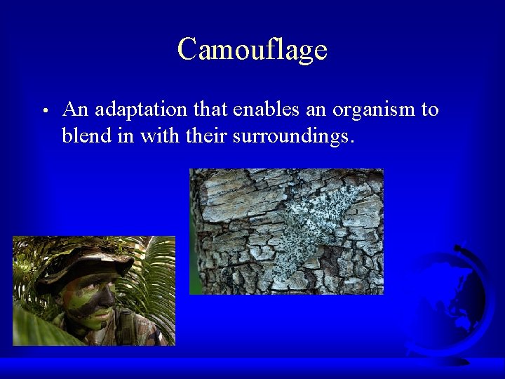 Camouflage • An adaptation that enables an organism to blend in with their surroundings.