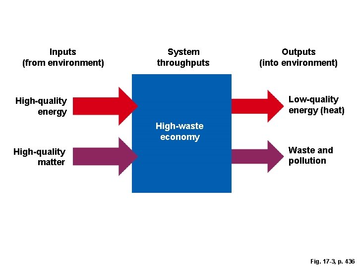 Inputs (from environment) System throughputs Outputs (into environment) Low-quality energy (heat) High-quality energy High-waste