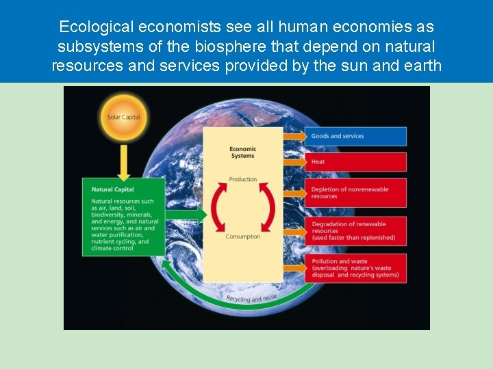 Ecological economists see all human economies as subsystems of the biosphere that depend on