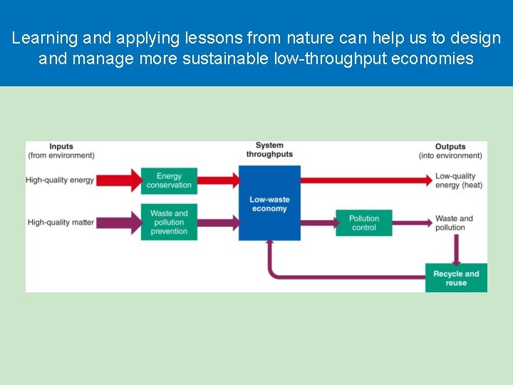 Learning and applying lessons from nature can help us to design and manage more