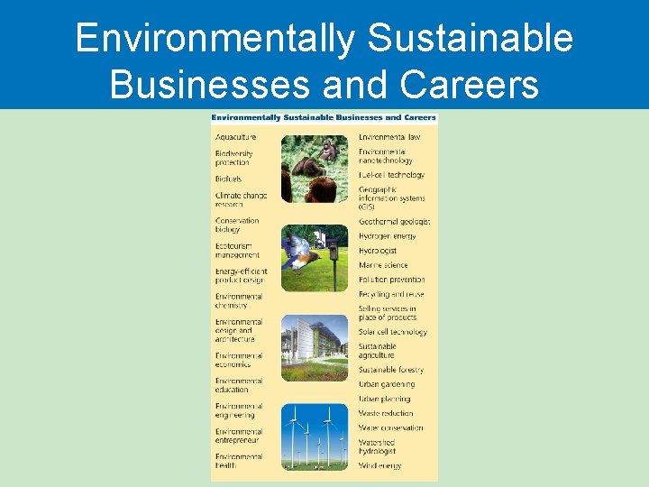 Environmentally Sustainable Businesses and Careers 
