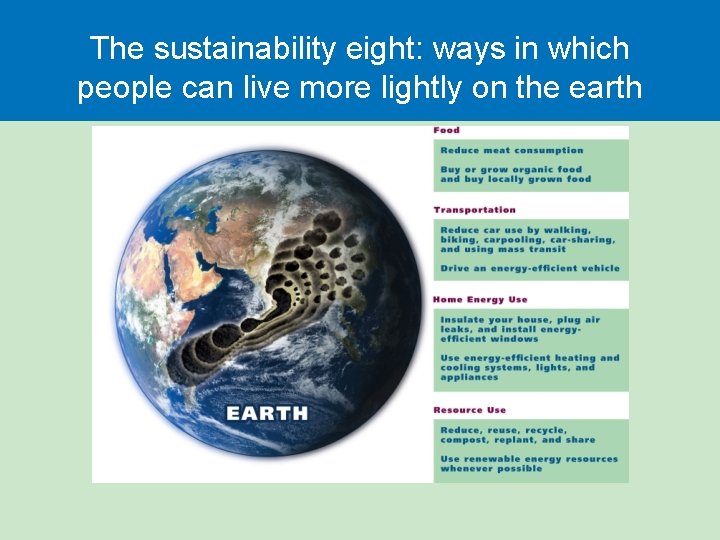 The sustainability eight: ways in which people can live more lightly on the earth