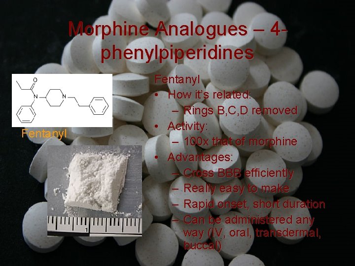 Morphine Analogues – 4 phenylpiperidines Fentanyl • How it’s related: – Rings B, C,