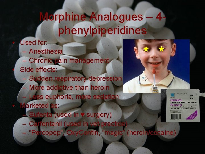 Morphine Analogues – 4 phenylpiperidines • Used for: – Anesthesia – Chronic pain management