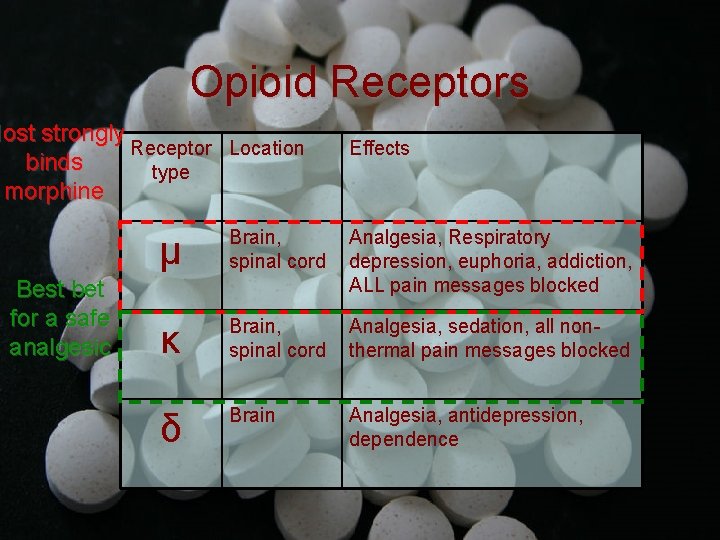 Opioid Receptors Most strongly Receptor Location binds type morphine Best bet for a safe