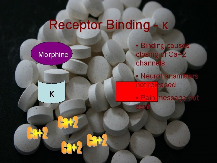 Receptor Binding - κ Morphine κ • Binding causes closing of Ca+2 channels •