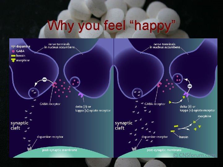 Why you feel “happy” 