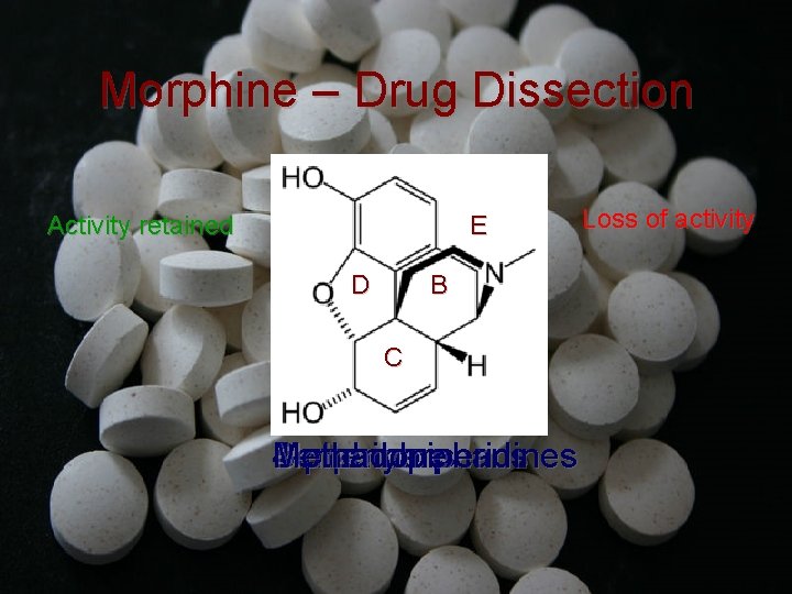 Morphine – Drug Dissection Activity retained E D B C Methadone Morphinans Benzomorphans 4