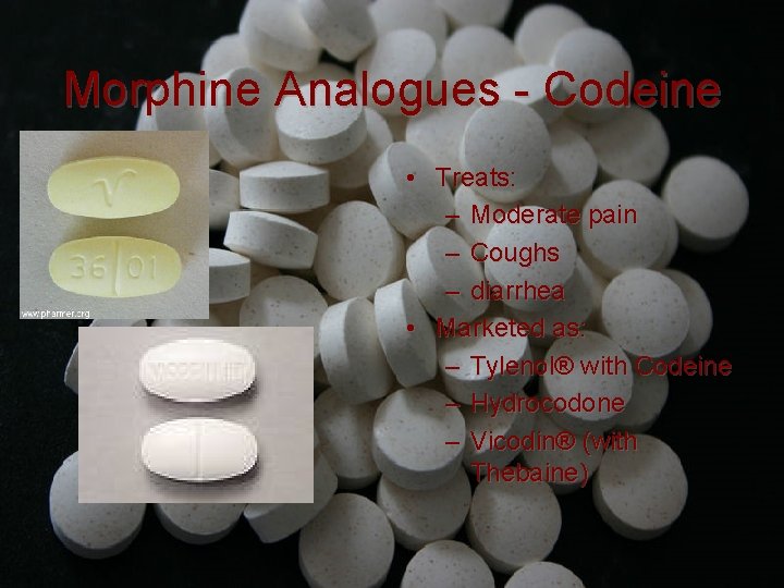 Morphine Analogues - Codeine • Treats: – Moderate pain – Coughs – diarrhea •