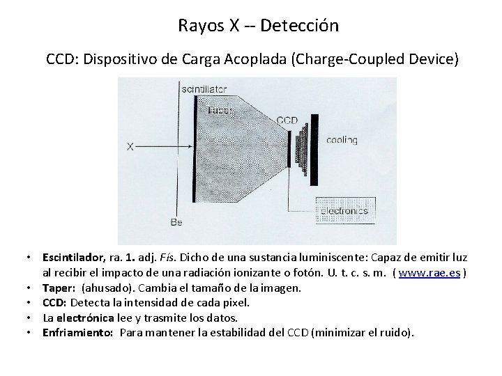 Rayos X -- Detección CCD: Dispositivo de Carga Acoplada (Charge-Coupled Device) • Escintilador, ra.