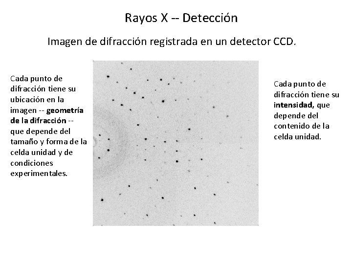 Rayos X -- Detección Imagen de difracción registrada en un detector CCD. Cada punto