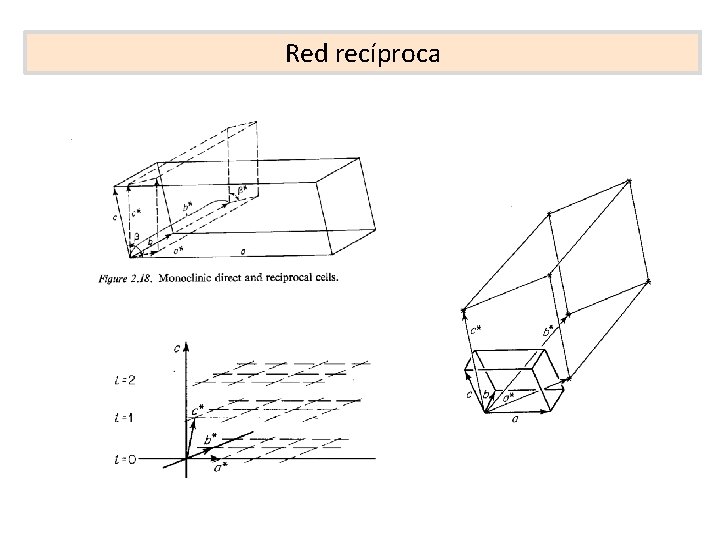 Red recíproca 