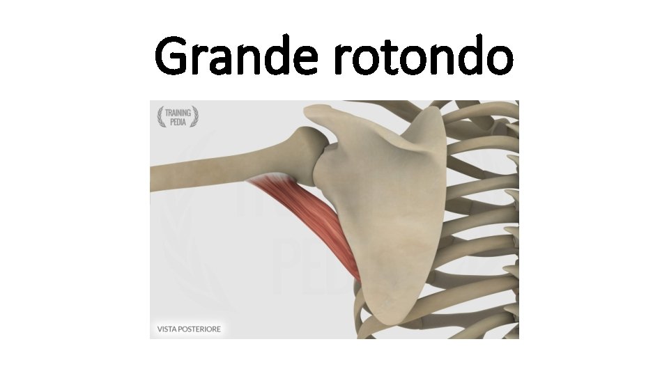 Grande rotondo 