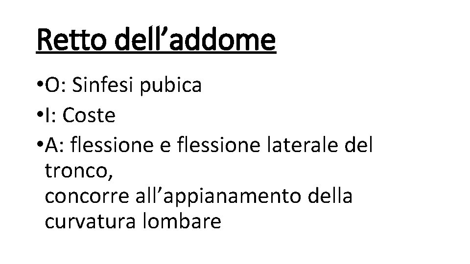 Retto dell’addome • O: Sinfesi pubica • I: Coste • A: flessione e flessione