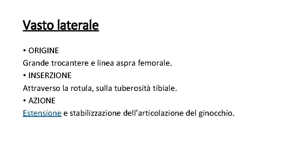 Vasto laterale • ORIGINE Grande trocantere e linea aspra femorale. • INSERZIONE Attraverso la