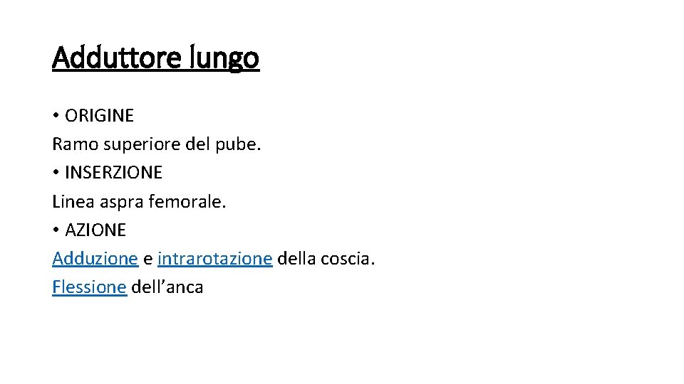 Adduttore lungo • ORIGINE Ramo superiore del pube. • INSERZIONE Linea aspra femorale. •