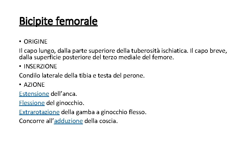 Bicipite femorale • ORIGINE Il capo lungo, dalla parte superiore della tuberosità ischiatica. Il