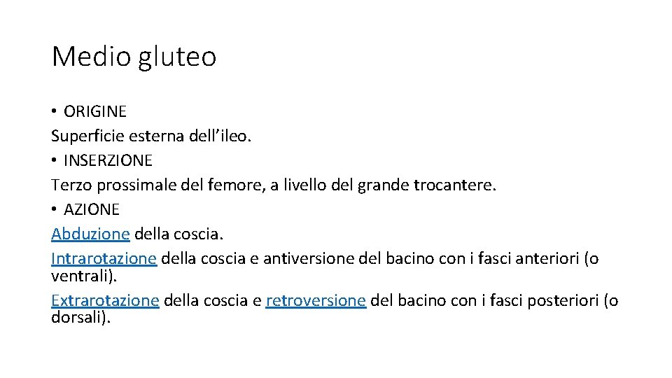 Medio gluteo • ORIGINE Superficie esterna dell’ileo. • INSERZIONE Terzo prossimale del femore, a