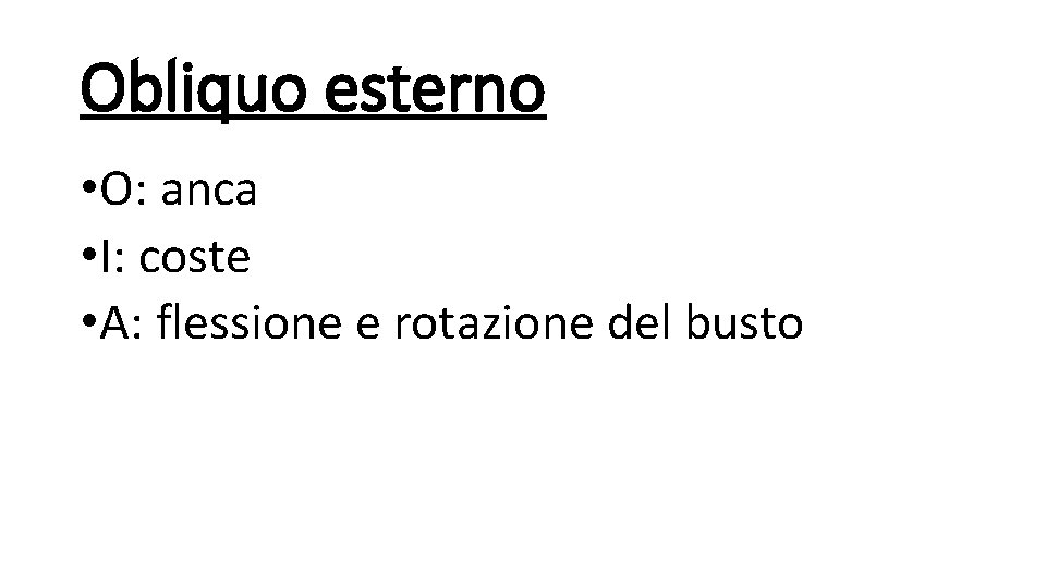 Obliquo esterno • O: anca • I: coste • A: flessione e rotazione del