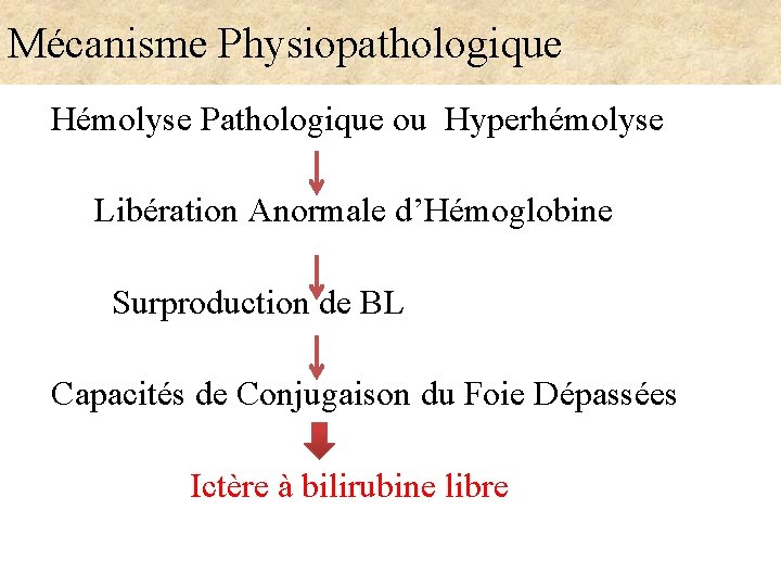 Mécanisme Physiopathologique Hémolyse Pathologique ou Hyperhémolyse Libération Anormale d’Hémoglobine Surproduction de BL Capacités de