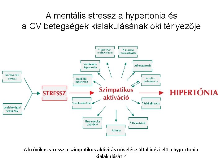 hipertónia a stressztől hogyan lehet javítani a magas vérnyomásban szenvedő ereket