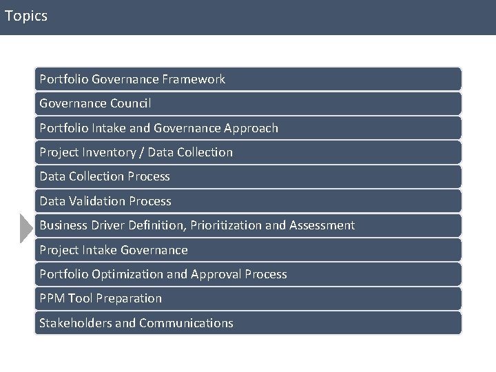 Topics Portfolio Governance Framework Governance Council Portfolio Intake and Governance Approach Project Inventory /