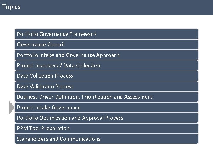 Topics Portfolio Governance Framework Governance Council Portfolio Intake and Governance Approach Project Inventory /