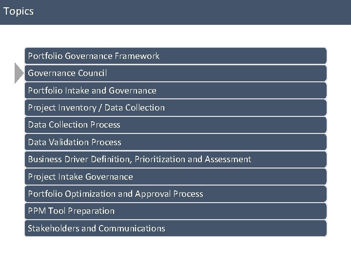 Topics Portfolio Governance Framework Governance Council Portfolio Intake and Governance Project Inventory / Data