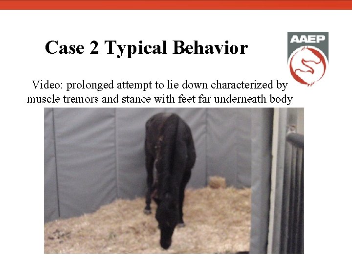  Case 2 Typical Behavior Video: prolonged attempt to lie down characterized by muscle