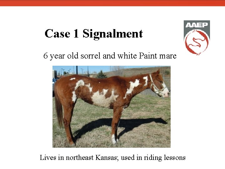  Case 1 Signalment 6 year old sorrel and white Paint mare Lives in