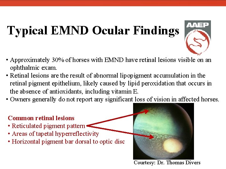 Typical EMND Ocular Findings • Approximately 30% of horses with EMND have retinal