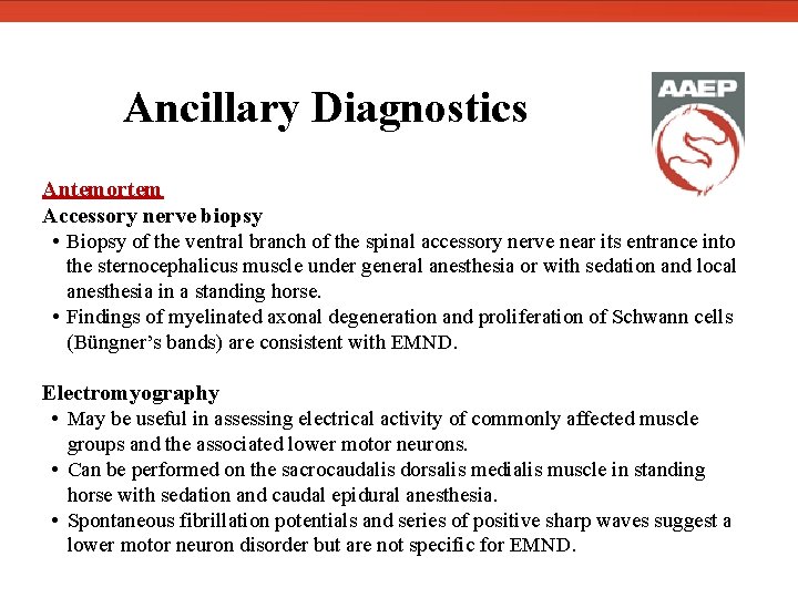  Ancillary Diagnostics Antemortem Accessory nerve biopsy • Biopsy of the ventral branch of