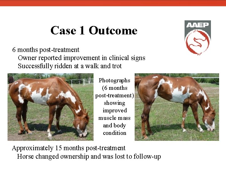  Case 1 Outcome 6 months post-treatment Owner reported improvement in clinical signs Successfully