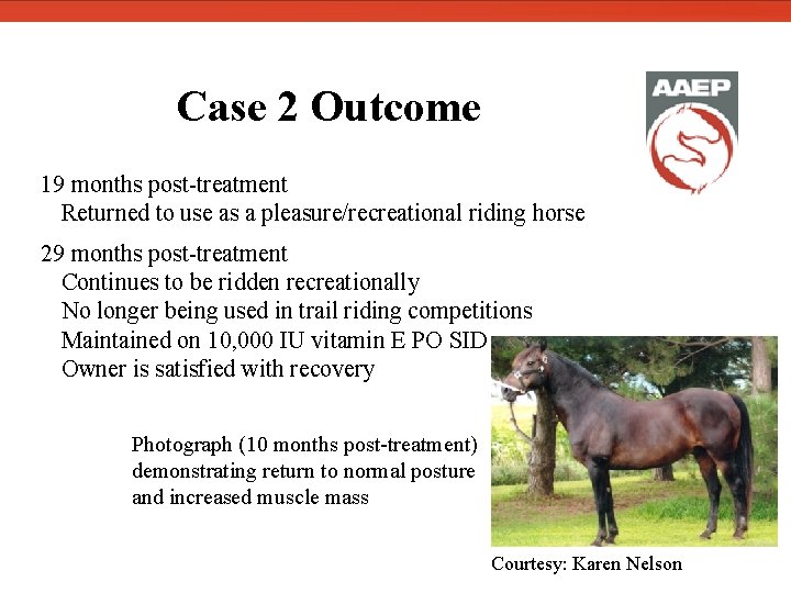  Case 2 Outcome 19 months post-treatment Returned to use as a pleasure/recreational riding