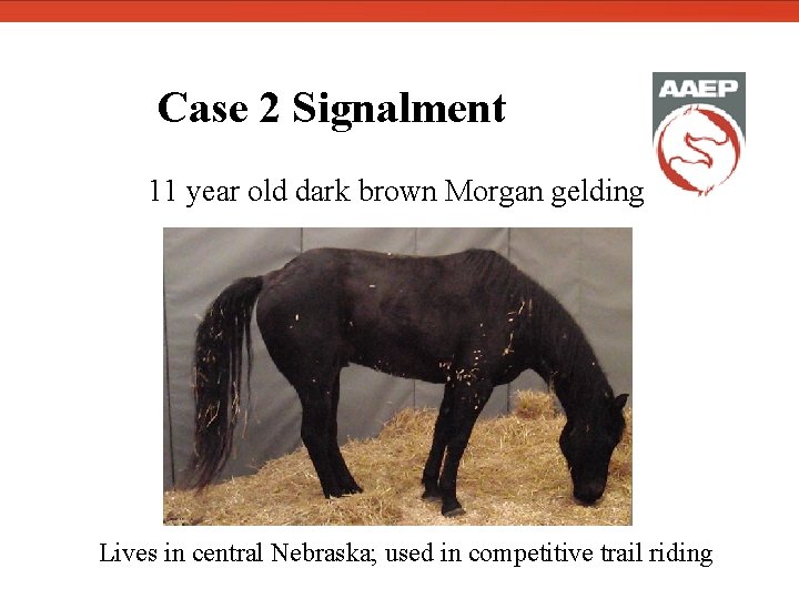  Case 2 Signalment 11 year old dark brown Morgan gelding Lives in central